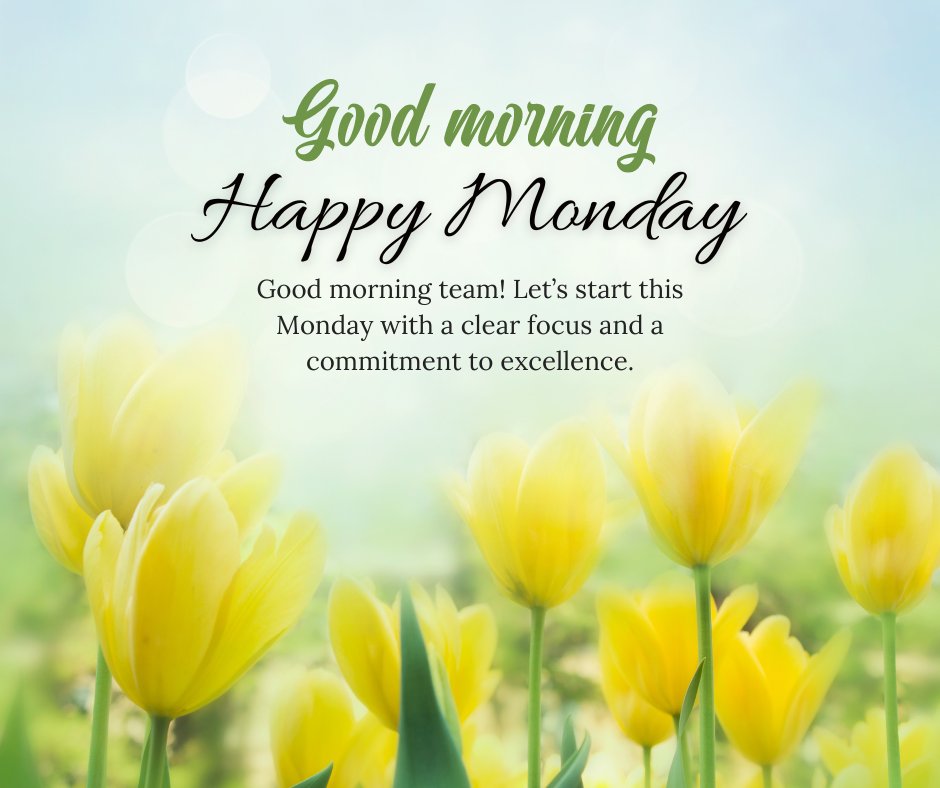 Positive Monday Morning Greeting for Colleagues text over a serene backdrop of bright yellow tulips under a soft morning light, inspiring teamwork and focus for the week.