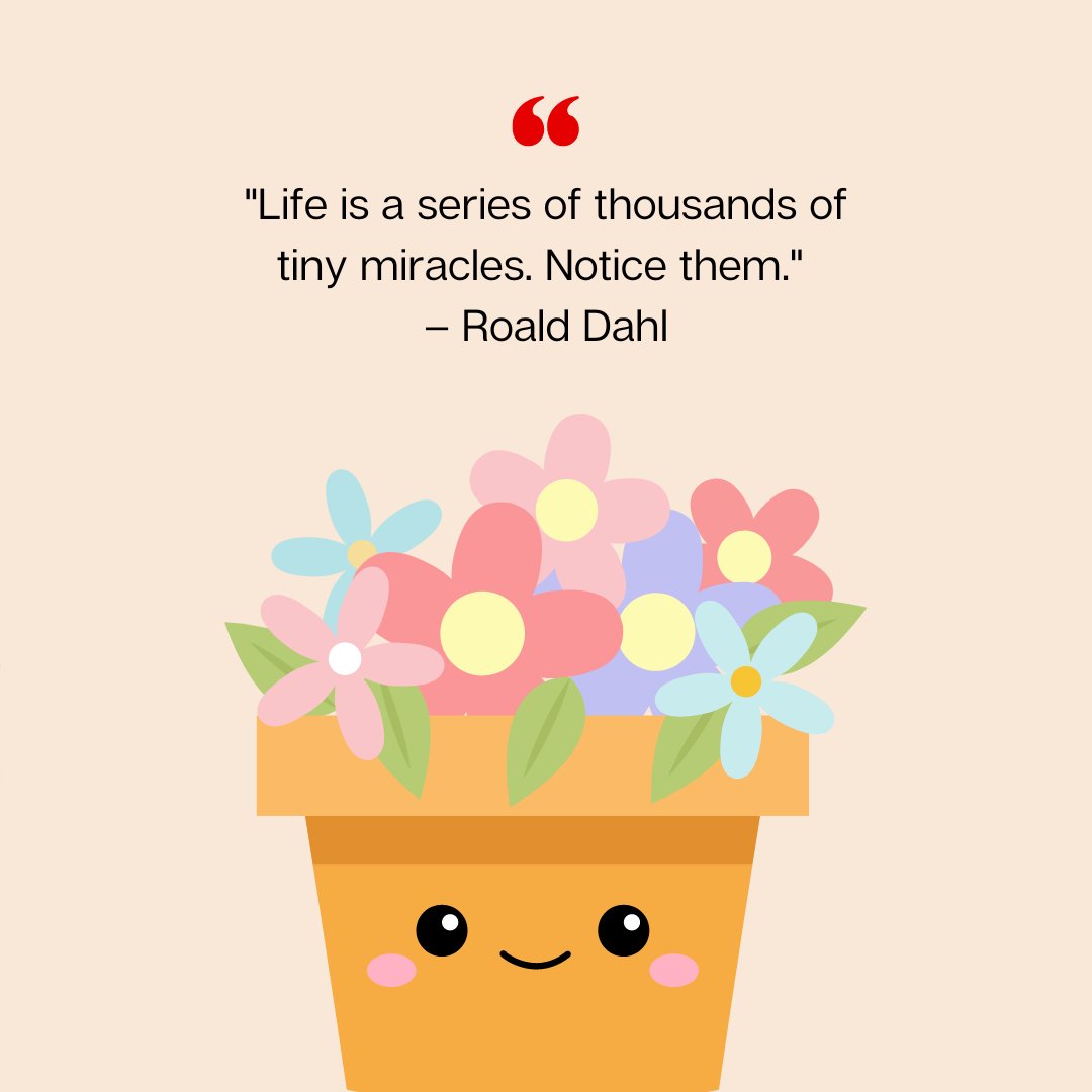 Short positive quote about life by Roald Dahl, 'Life is a series of thousands of tiny miracles. Notice them,' displayed above a smiling flowerpot filled with colorful flowers.