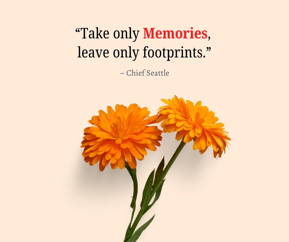 Image of two bright orange flowers with a quote by Chief Seattle: 'Take only memories, leave only footprints.' Perfect for Unforgettable Memories Quotes for Instagram content.