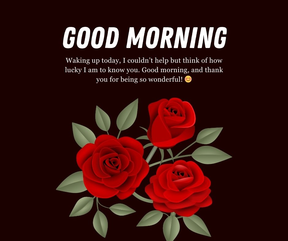 Red roses with a heartfelt Good Morning Crush Message for Appreciation, expressing gratitude and admiration to make your crush feel special.