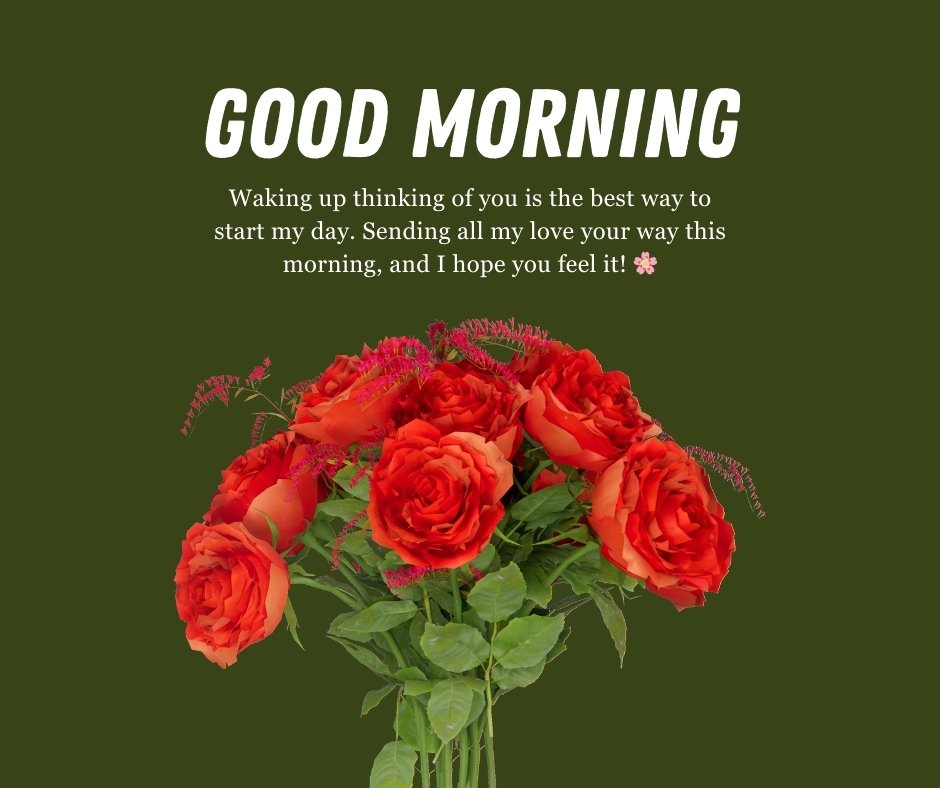 Beautiful bouquet of red roses with a heartfelt Good Morning Crush Message for Sending Love, expressing affection and warmth to start the day.