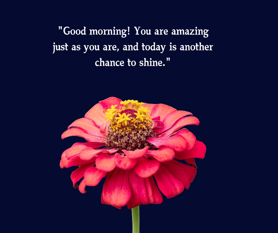 A motivational quote on a dark blue background that reads, "Good morning! You are amazing just as you are, and today is another chance to shine," accompanied by a vibrant red flower. This image is ideal for sharing Good Morning You Are Amazing Quotes.