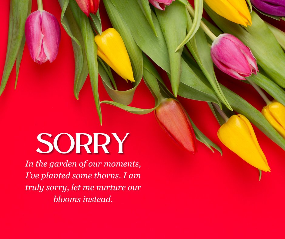 I am sorry message with colorful tulips on a red background, expressing regret for causing hurt and a heartfelt desire to make amends.