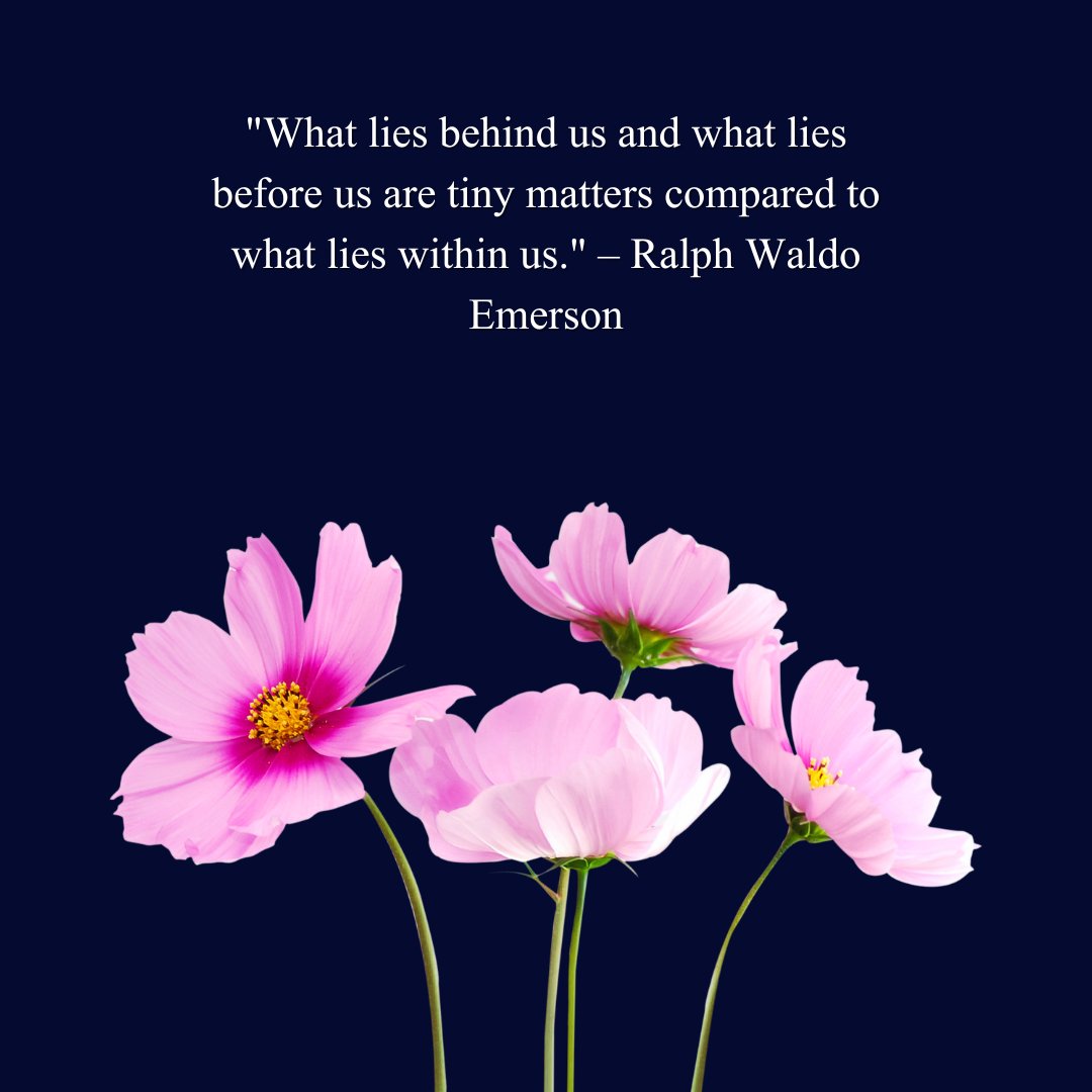 An inspirational quote by Ralph Waldo Emerson on a dark background that reads, "What lies behind us and what lies before us are tiny matters compared to what lies within us," paired with pink flowers. This image is ideal for Inspirational Strength You Got This Quotes.