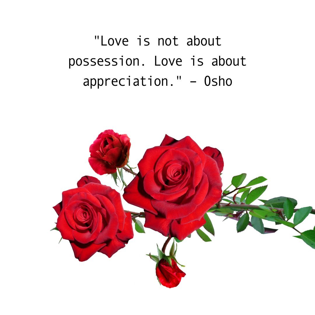 A beautiful red rose bouquet alongside a deep love quote by Osho, 'Love is not about possession. Love is about appreciation,' symbolizing the essence of true love and appreciation.