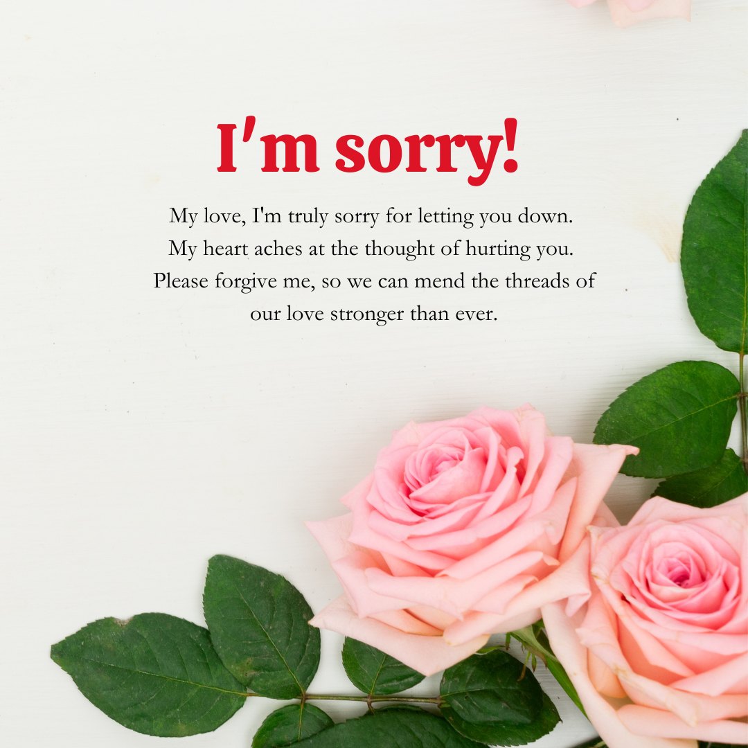 A romantic sorry message for love, featuring soft pink roses and a heartfelt apology expressing regret and a desire to mend a relationship.