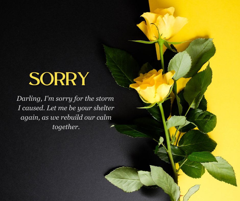 Sorry message for him featuring yellow roses on a black and yellow background, accompanied by a heartfelt apology for causing distress and offering comfort.