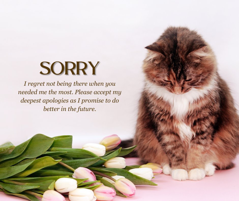 A cute cat bowing its head in apology beside a bouquet of tulips, accompanied by a heartfelt sorry message expressing regret and a promise to do better in the future.