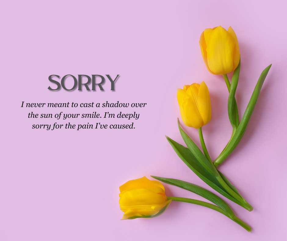 Sorry to hurt you quote with yellow tulips on a soft pink background, expressing deep regret for causing pain and a heartfelt apology.