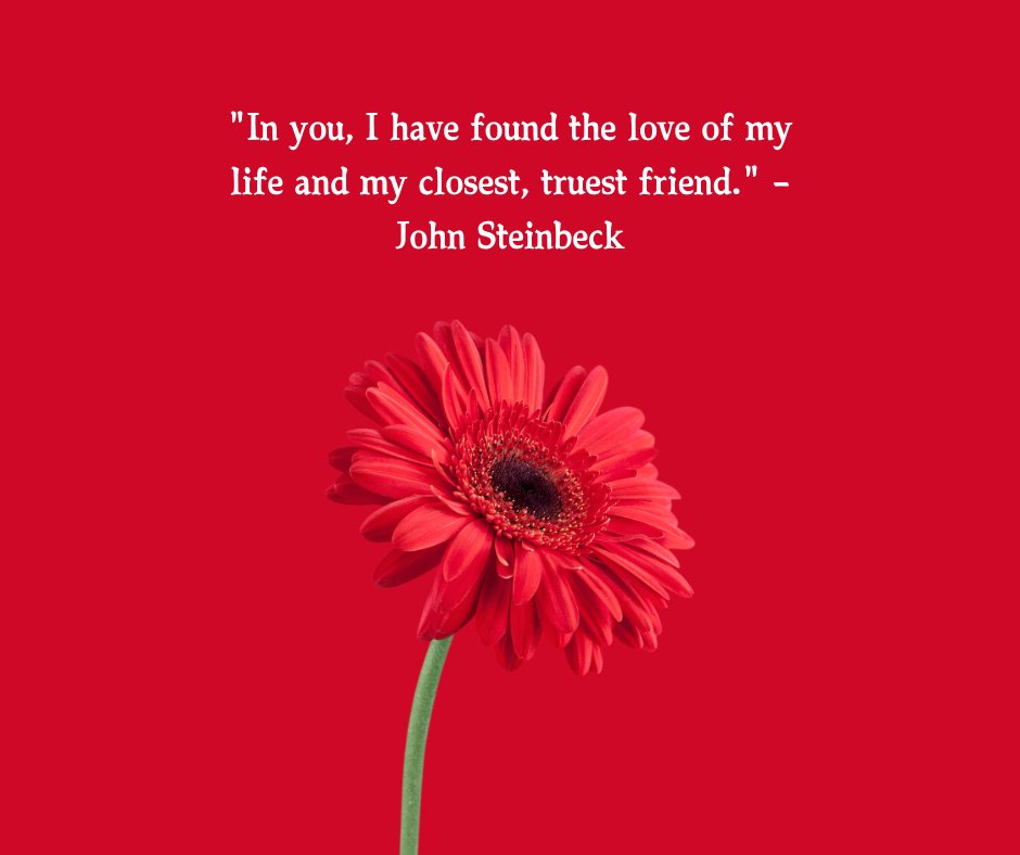 A romantic quote by John Steinbeck on a bold red background that reads, "In you, I have found the love of my life and my closest, truest friend." Accompanied by a single red flower, this image is perfect for You Are Amazing Quotes for Him.