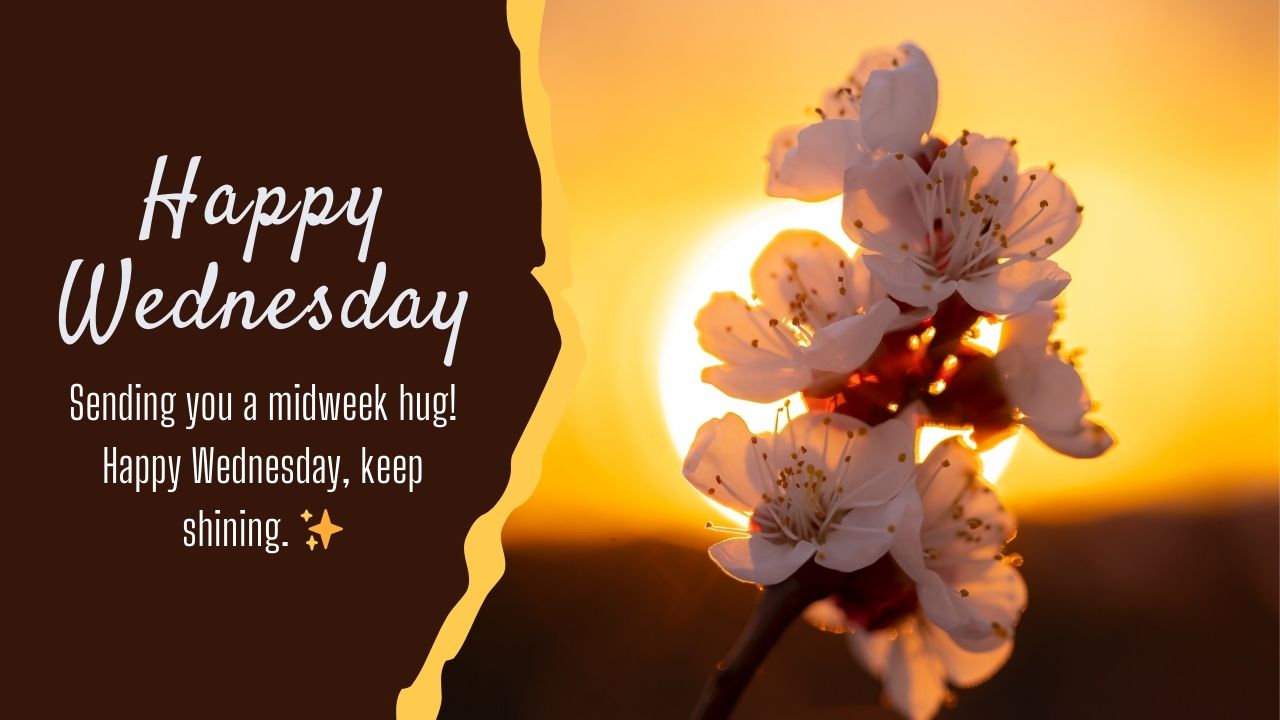 Heartfelt Happy Wednesday Wishes