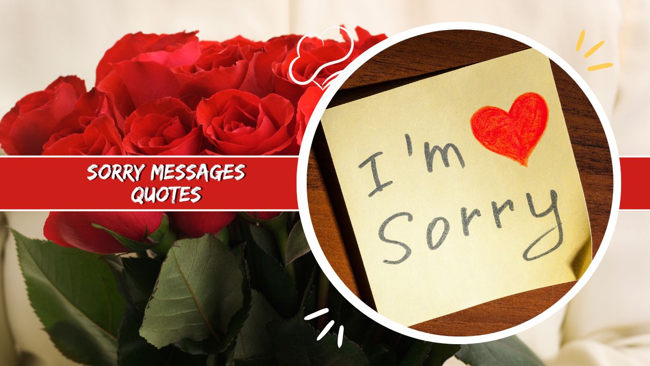 Sorry Messages