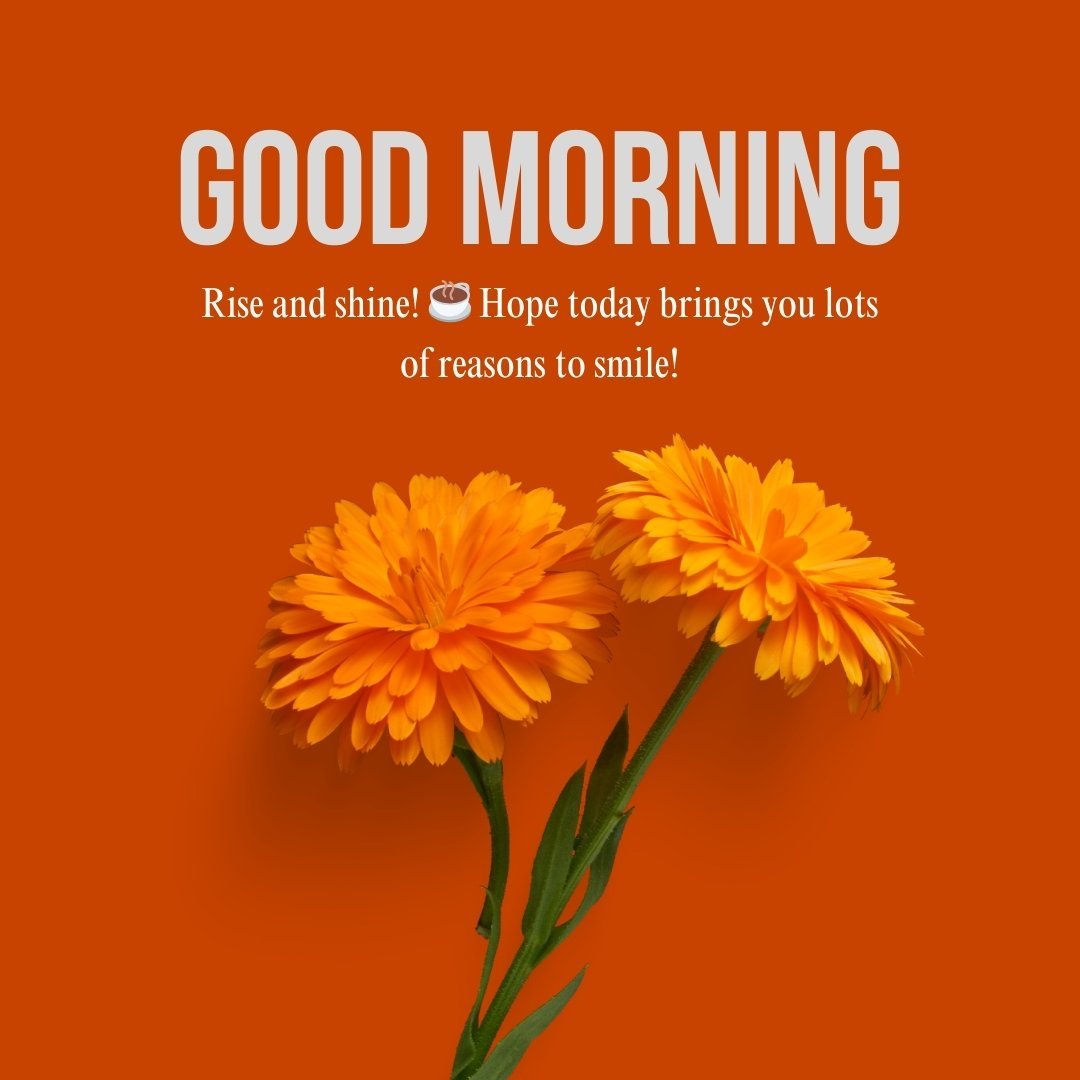 Sweet Good Morning Texts - Bright orange flowers with an uplifting morning message to start the day positively.