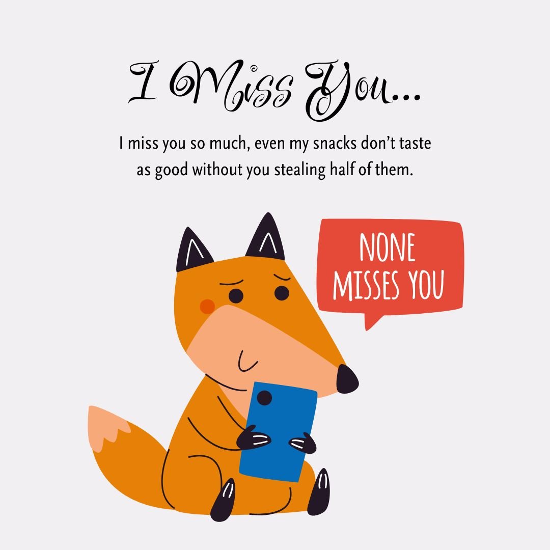 Funny Miss You Messages