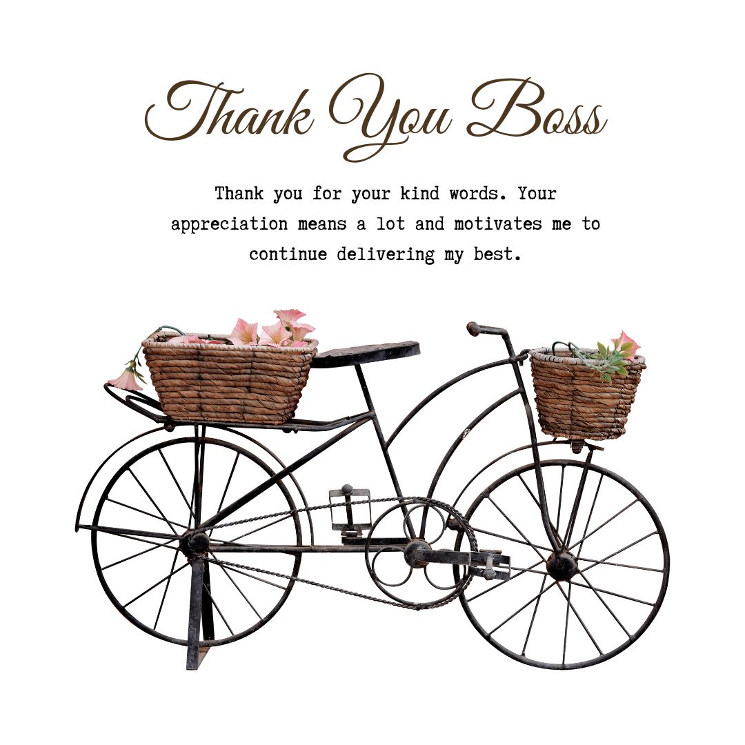 Thank You Reply to Boss for Appreciation