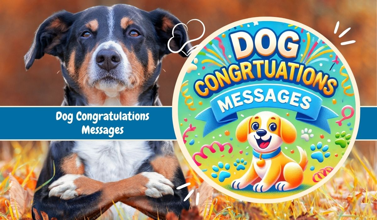 Dog Congratulations Messages