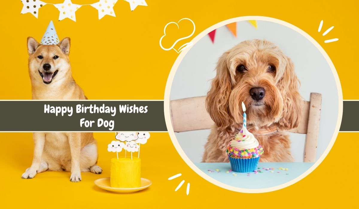 Happy Birthday Wishes For Dog